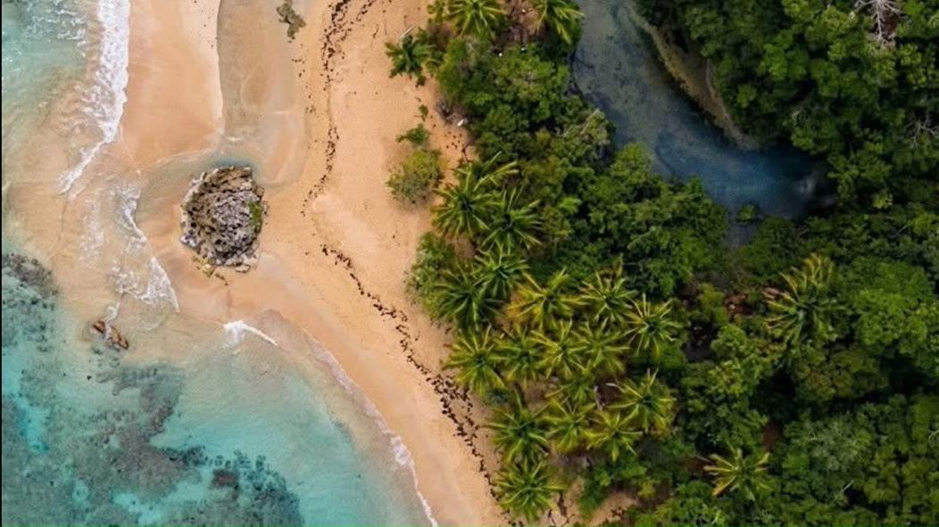 Aerial view of a hidden beach cove near Las Terrenas, Samaná